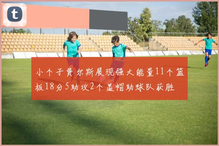 小个子费尔斯展现强大能量11个篮板18分5助攻2个盖帽助球队获胜